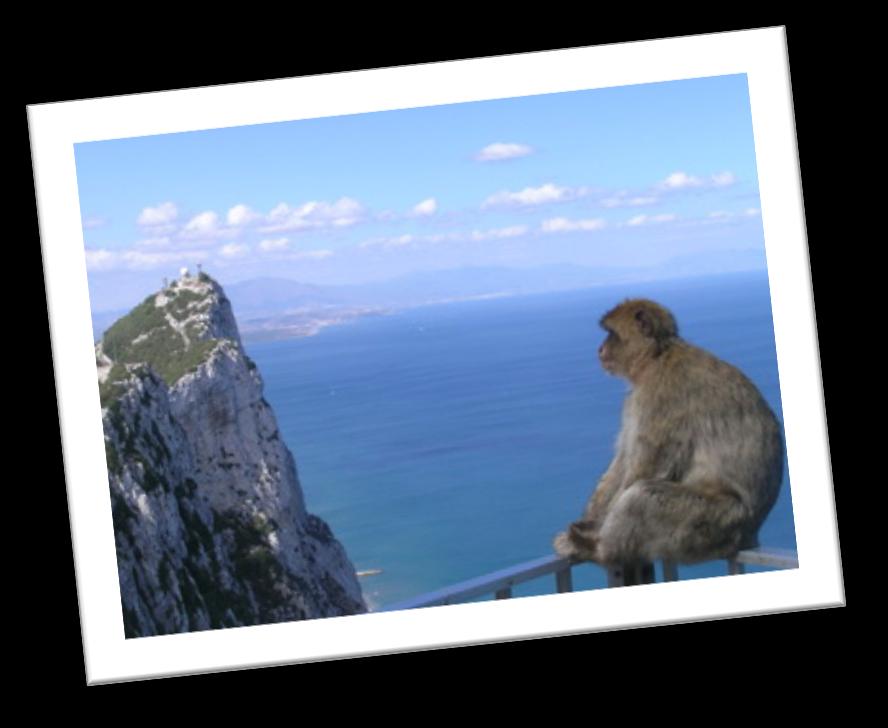 GIBRALTÁR Gibraltár leghíresebb látnivalója az Europa Point nevet viselő lapos szikla, amelyről szép időben még az észak-afrikai tengerpartot is látni lehet.