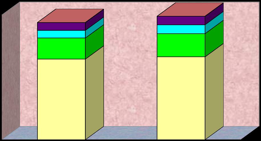 Tárgyi eszközök összetétel és állományváltozása 2. sz. grafikon Megnevezés 2011 2012 Megoszlás Megoszlás 2011 2012 e Ft Index 11 1.