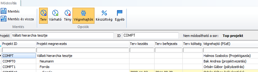 12. ábra: Projektek tömeges szerkesztése A táblázatban a sárga mezők szerkeszthetőek a fehérek nem.
