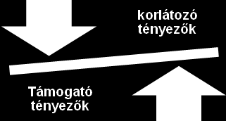 ösztönző módszerek, stb. Csakúgy, mint az erősség-gyengeség elemzés során megnevezik és megbeszélik mindkét fajta erőt.