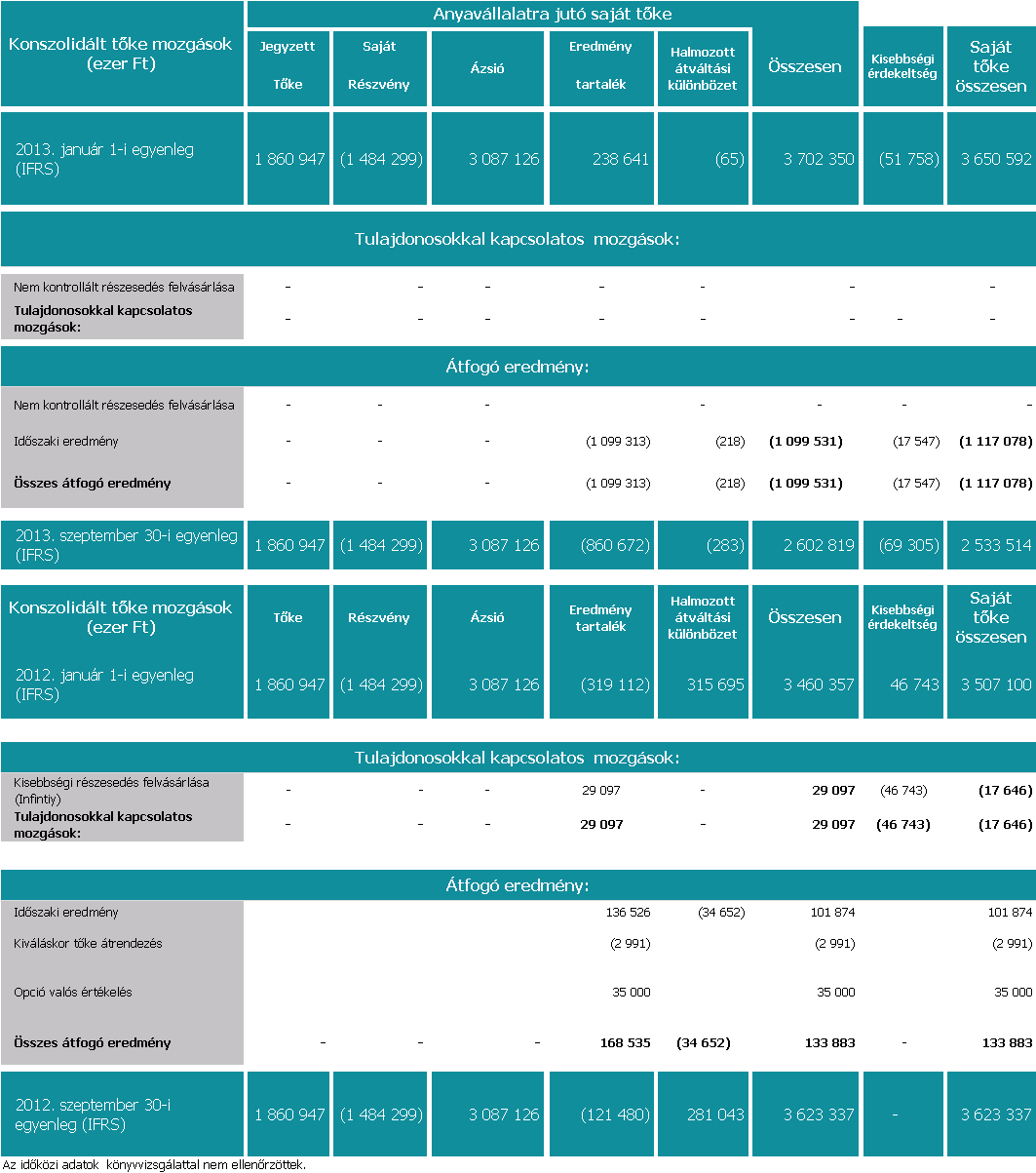 Synergon Csoport saját tőke változása 2013.