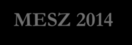Kárpát-medencei magyar műszaki felsőoktatás Magyar Energia Szimpózium MESZ 2014 Előadás Dr Vajda