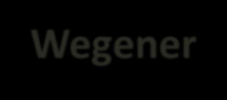 Granulomatosus vasculitis - Wegener granulomatosis Ritka Felső/alsó légutak nekrotizáló, granulomatosus gyulladása, vasculitis, glomerulonephritis középkorú ffiakon c-anca asszociált Klinikailag