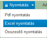 A pontosvesszővel tagolt CSV (GN09 CSV, GN10 CSV) előállítása előtt a naplóbejegyzésben esetlegesen előforduló pontosvesszőket egyéb karakterre, például vesszőre kell cserélni (CTRL+H).