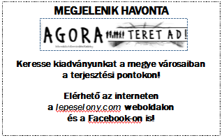 KALANDOS NYÁR A LÉPÉSELŐNY EGYESÜLETTEL 2015. AUGUSZTUS IV. évfolyam, 8. szám A tartalomból ÁLLÁSPONT Élményalap-Légy te is élményfelajánló!