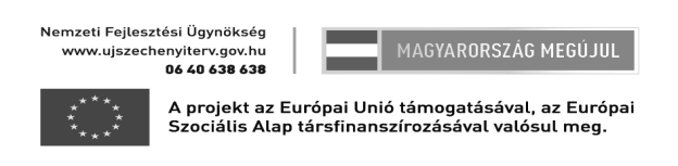 Egy rövid beszélgetés keretében számolt be a tapasztalatokról. Mi volt az apropója a norvégiai utazásnak?