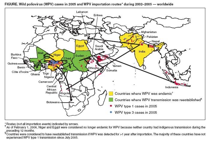 1. ábra: Vad poliovírus megbetegedések 2005-ben