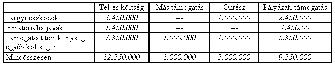 Az Európa Kulturális Fıvárosa Biztonságáért bőnmegelızési projekt 243 9.