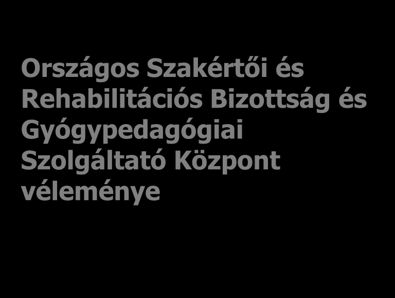 Alkalmasság - beiskolázás - felvétel Tanulásban akadályozott ( profil ) Mind az értelmi, mind a társuló fogyatékosság mértékét tekintve igen széles skálán mozog Az értelmi sérüléshez kifejezett