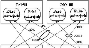 DANCZI CSABA LÁSZLÓ : A ZENEI TÉR 1.2.9.