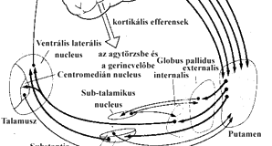 DANCZI CSABA LÁSZLÓ : A ZENEI TÉR 1.6.3.