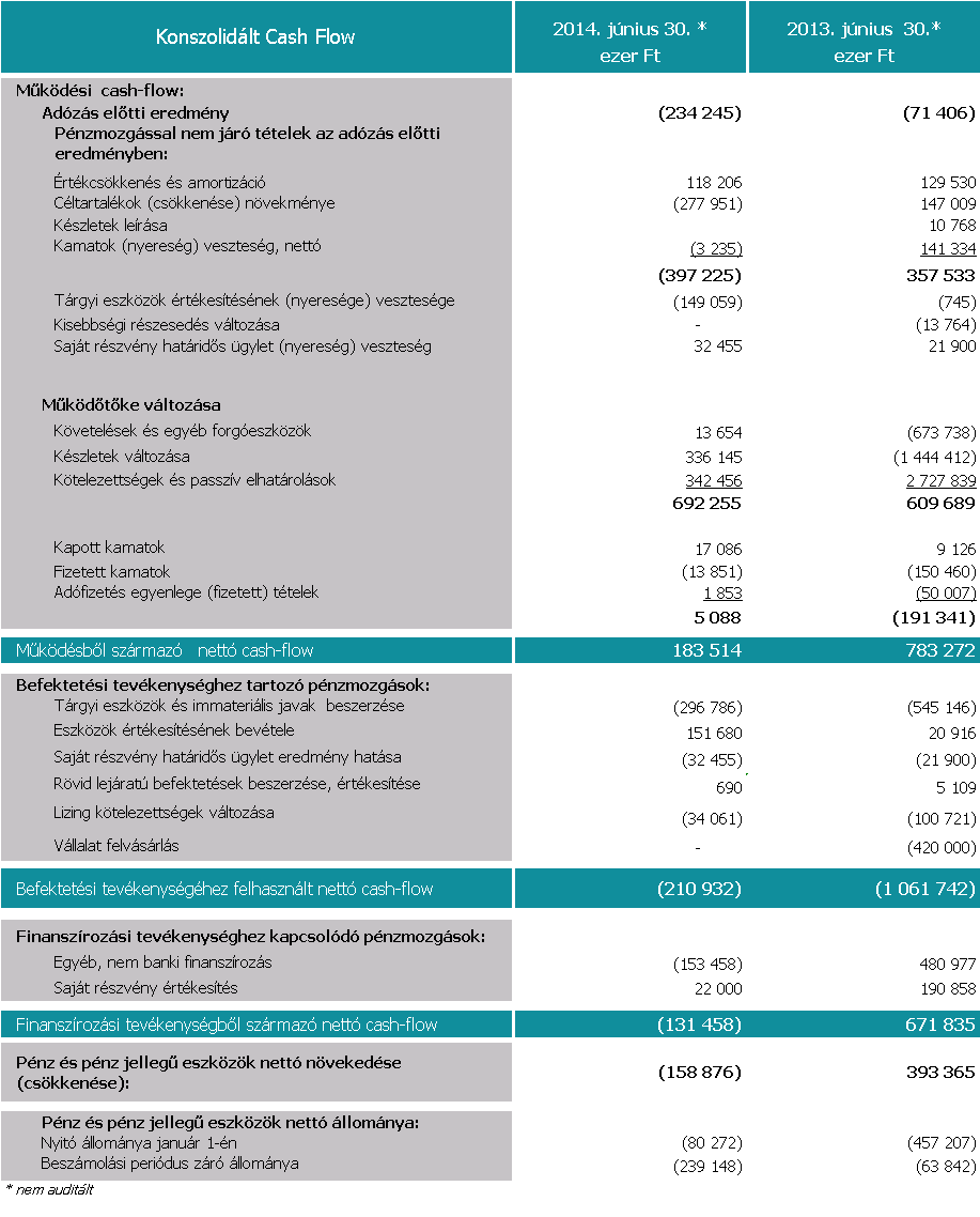 SYNERGON Csoport Cash-flow A társaság nettó pénzeszköz állománya 2014. június 30-án 239 millió forint hiteltartozás volt.