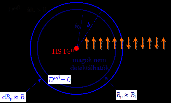 átmenetet. Ezt a spindiffúzió-kioltást a számításokba endesen az egyes PI-ok köül vett b sugaú gömb definiálásával vezetik be, amin belül D 0, kívül pedig állandó (8. ába).