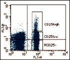 Ltd, Oxford, GB), anti-cd-69-cy5 (Pharmingen, San Diego, CA, U.S.A), anti-foxp3-pe (ebioscience, U.S.A). dc_28_10 CD25 + bright CD25 CD25 + low CD4 sejtszám CD25 - FoxP3 5.