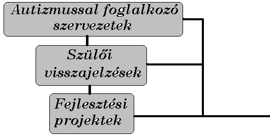 Ennek kiküszöbölése, valamint a folyamat hatékonyságának növelése érdekében fontos, hogy az autizmussal kapcsolatos szakmai kommunikációt az ASzM e célja kijelölt munkacsoportja lássa el.