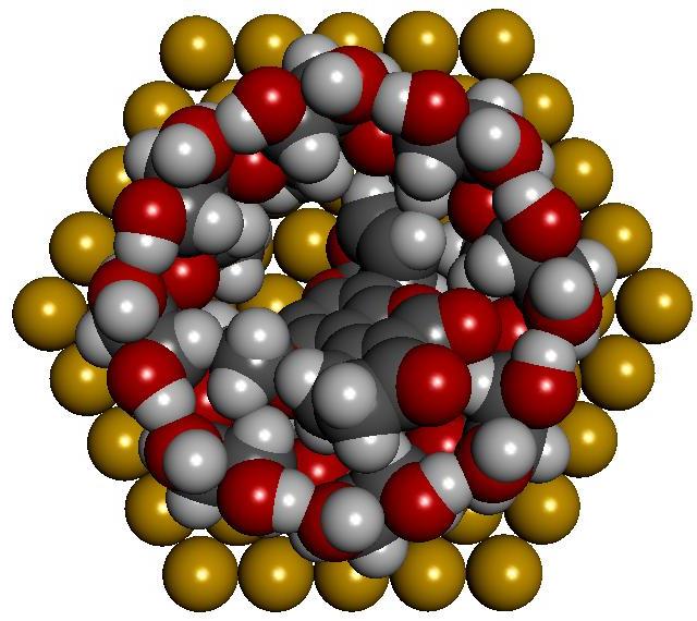 A, - A, - UV-Vis mérések B 1 -aflatoxin CH 3 Hydrophobic S-H group substituted g-cyclodextrin Attachment of Aflatoxin B1 molecules to cyclodextrin modified gold surface and b- cyclodextrin on gold