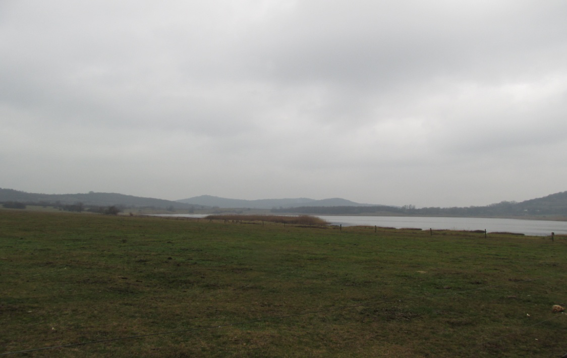 2. A IHANYI-FÉLSZIGE A ihanyi-félsziget a Dunántúlon található, Veszprém megye déli részén. Lévén félsziget, a terület a Balaton-felvidékről nyúlik be Magyarország legnagyobb tavába, a Balatonba.