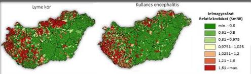 agyhártyagyulladás, a bakteriális eredetű Lyme kór és a hantavírus okozta tüdő megbetegedés. Egyes rágcsálók által terjesztett betegségek árvizek után válnak gyakoribbá, mint pl.