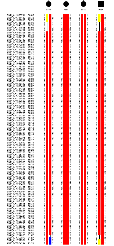 C14 rs1956691 SNP_A-1682896 14:053.13047021 56308544 UNASSIGNED SNP_A-1735198 14:053.20003302 56380314 rs10483738 SNP_A-1719853 14:055.35861329 59971397 rs3783759 SNP_A-1750979 14:055.