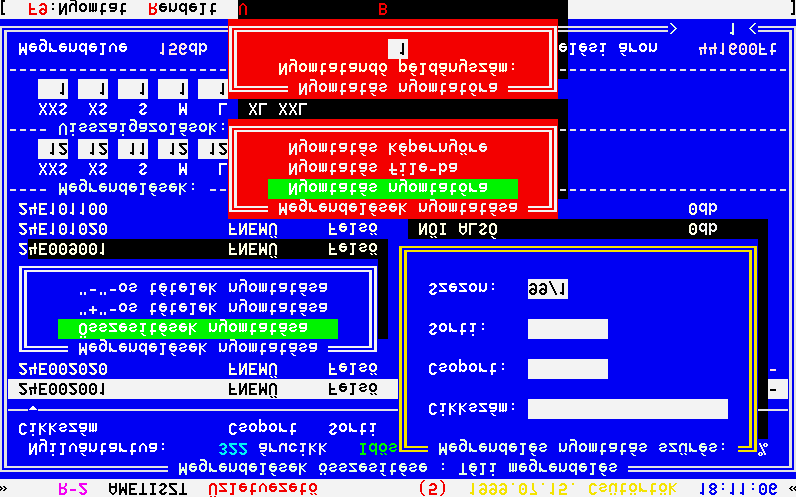 14.26 Forgalom elemzés / Megrendelések összesítése / Téli megrendelések / Nyomtatás 102. Ábra Az összesítés eredményét lehet ségünk van kinyomtatni az F9 billenty segítségével.