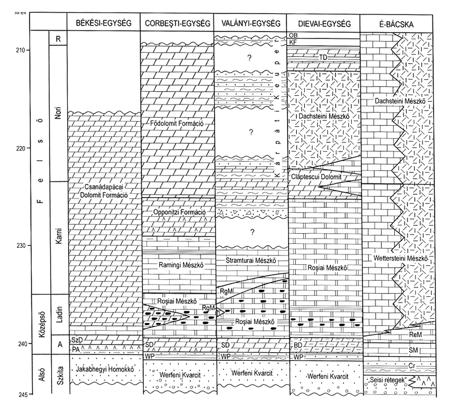 Medgyesegyháza., Pusztaszőlős, Pusztaföldvár, Tótkomlós). Jellemző ősmaradványa a zöldalga (Diplopora annulata és Gyroporella cf. ampleforata), valamint a Hydrozoa.