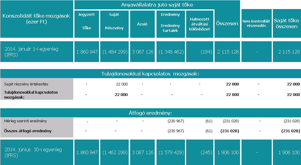 SYNERGON Csoport saját tőke változása 2015. és 2014.