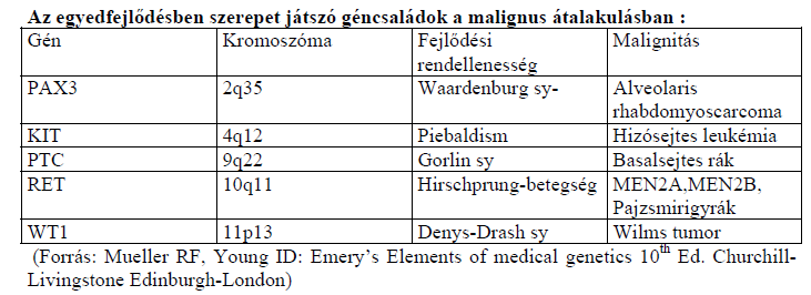 Konklúzió: minor anomáliák nagyobb számú jelenléte