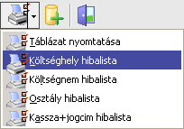 Mint látjuk a programablakban két fül szerepel. Aktuálisan az egyik a közvetlen költségek fül, a másik pedig a ráosztott költségek fül.