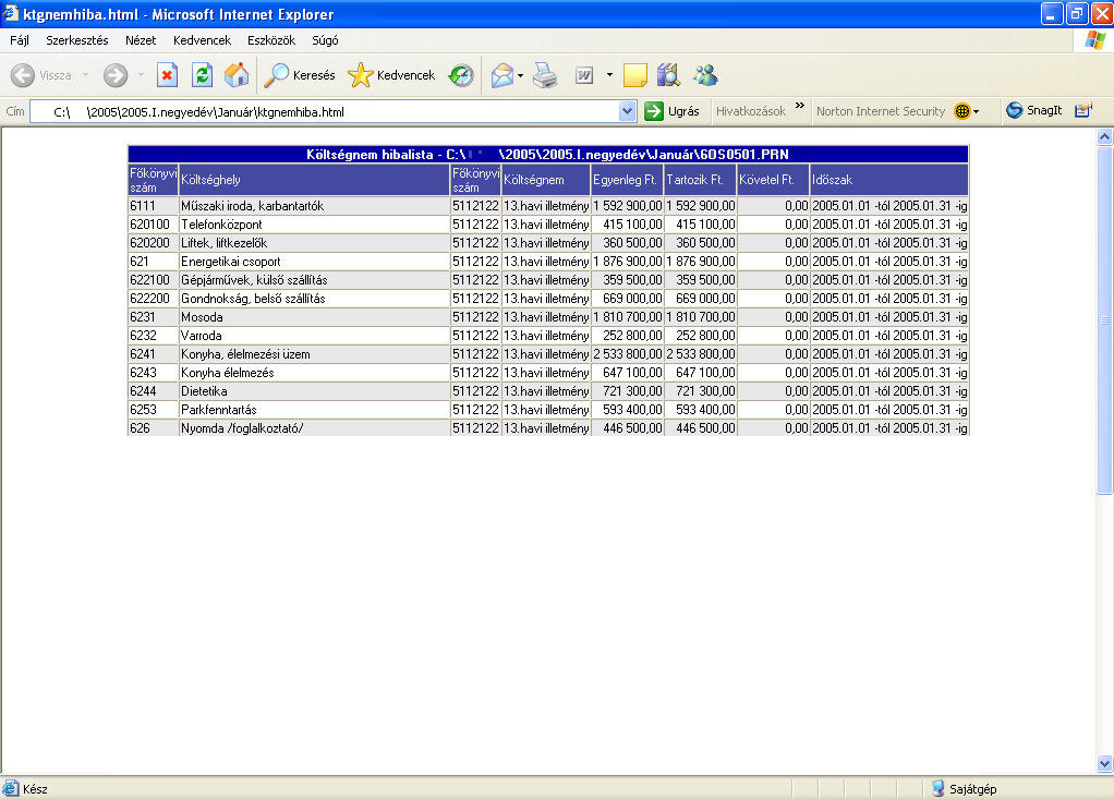 Mindkét esetben a program az adatokból Microsoft Internet Explorer segítségével HTML típusú fájlt készít.