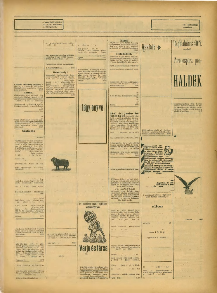 43. SZÁM. 7-tK ÉVFOLYAM. KÖZTELEK, 1897. MÁJUS HO 29 779 Hirdetési ár 1$ szóig 30 1 szó 2 kr.