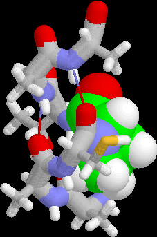 A fehérjék másodlagos szerkezetének osztályozása: alpha-helix, beta-híd,