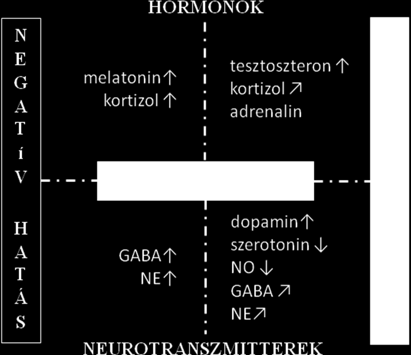 Elmondható tehát, hogy a melatonin agresszivitásra gyakorolt hatása az androgénekkel és glükokortikoidokkal való kölcsönhatásban valósul meg. 1.