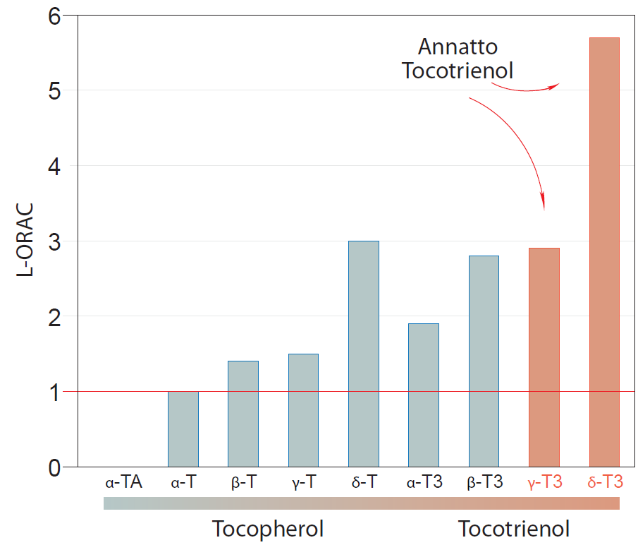 A tokoferolok (T) és tokotrienolok (T3) antioxidáns aktivitást mutatnak DeltaT3 és GammaT3 nak