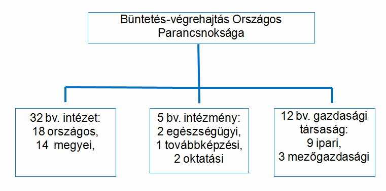 53/2007. (XII.7.) EüM rendelet a gyógyszerrendeléshez használandó számítógépes program minısítésének szabályairól 50/1999. (XI. 3.