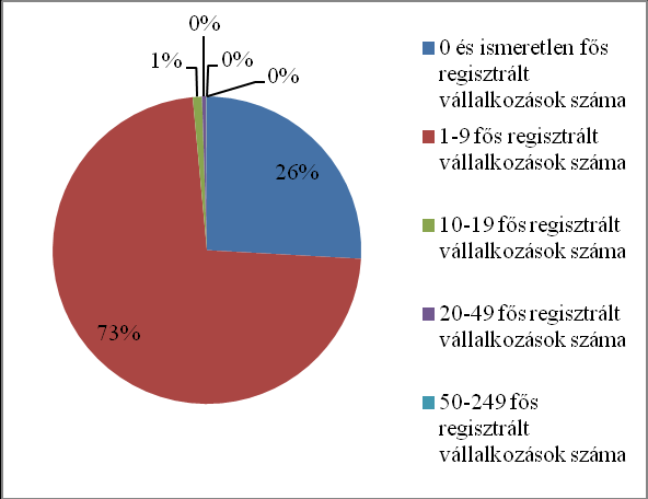 6. számú diagram: A regisztrált vállalkozások megoszlása gazdasági forma szerint, %, 2011 Forrás: KSH T-STAR adatbázis alapján saját szerkesztés A vállalkozások nagy többsége a Völgy Vidéken 10 főnél