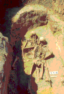 3. kép: Fénykép a 116-os sírról Bild 3: Foto des Grabes Nr. 116 2. kép: Sírrajz Bild 2: Grabzeichen (Nr. 116 A. B) A vizsgálat eredményei A 116. A. és B.