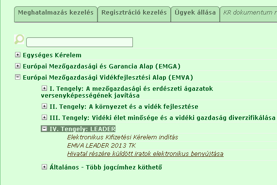 A megjelenő oldalon válassza ki, hogy saját nevében vagy meghatalmazottként kíván-e pályázatot benyújtani.