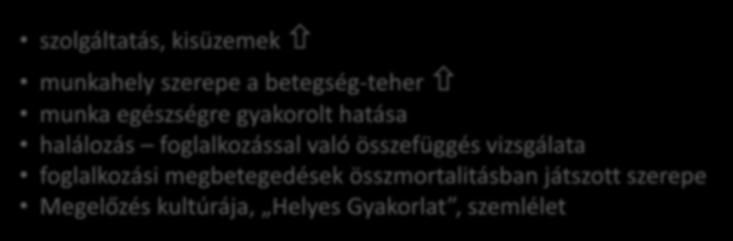 szolgáltatás, kisüzemek munkahely szerepe a betegség-teher munka egészségre gyakorolt hatása halálozás foglalkozással való összefüggés vizsgálata foglalkozási megbetegedések