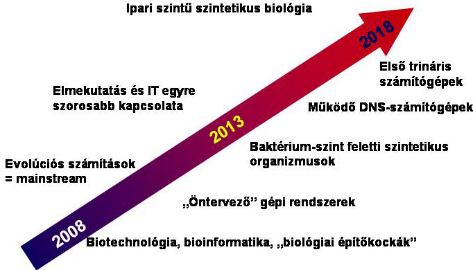 az egyik legfontosabb kísérleti alanyuk, rajta keresztül igyekeznek felderíteni az élő rendszerek működéséhez szükséges alapokat.