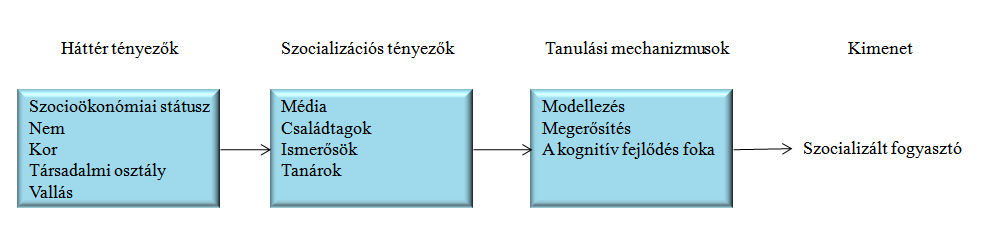 3 ábra A fogyasztói szocializáció modellje Mowen (1987): Consumer behavior. Macmillan Publishing Company, New York 421 p.