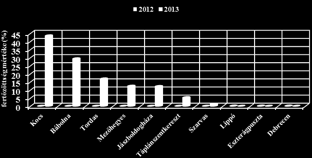 85 kisebb mértékben (pl. Bábolna) jelent meg a genotípusokon (13.ábra).