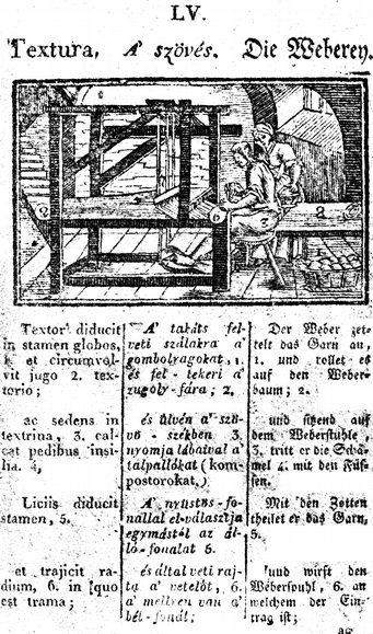 Egy lap Comenius «Orbis pictus»-ának négy nyelvű magyar kiadásából.