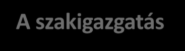 A szakigazgatás jelenlegi állapotának kritikája. Mik tapasztalhatók? 1 A földhivatalok immár 4 éve kettős irányítás alatt működnek a kormányhivatalok rendszerében.