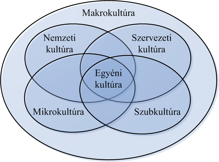 SZERVEZETI KULTÚRA jellemezhetőek. (Karahanna et al., 2005) A modell közepén az egyén áll, akire számos, a környezetében jelenlévő kultúra szint hat.