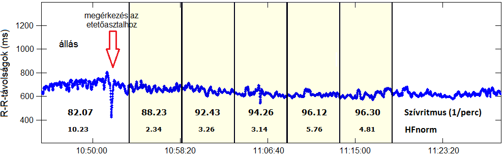 21. ábra: A szívritmus és a nagyfrekvenciás komponens (HF) értékei takarmányfelvétel közben 24.