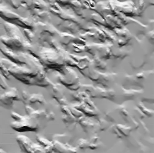 Sík, eolikus területek geomorfológiai térképezése és formáinak elkülönítése 10.5. ábra - A 10.3. ábra árnyékolt domborzatmodelljének körberepülése.