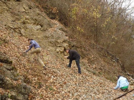 Mesél a bükki paleozoikum Ősmaradvány gyűjtő túra E hónapban a Bükk-hegység ÉNy-i előterében tettünk kirándulást karbon időszaki kövületek után kutatva.