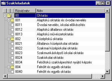 Struktúrált táblázat Ilyen például a Szakfeladatok táblázat. Dialógus menü A program vezérlése parancsokkal történik, amelyek a Dialógus menüben találhatók.