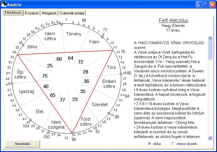 Analízis: menüpontra kattintva a következő ablak ugrik fel férfi életciklus esetén. A grafika annak megfélően változik, hogy a vizsgált személy milyen nemű, vagyis melyik választó gomb aktív.