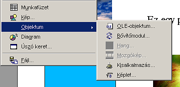 Ábra 119 Ábra 118 A diára a Beszúrás menüben található Kép menüpontban szúrhatunk be képet. Ez elérhető a Fő eszköztár Beszúrás pontjából is.